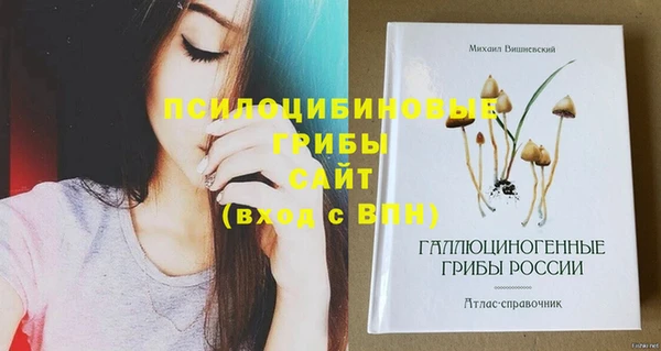 мет Пестово