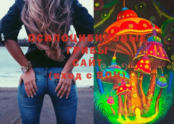 МДПВ Алексин