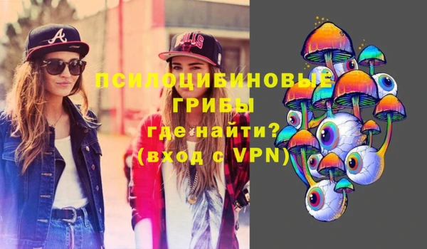 мет Пестово