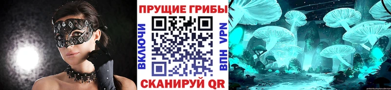 сколько стоит  Кизел  Псилоцибиновые грибы прущие грибы 